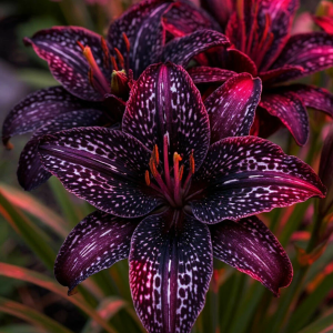 Лилейник Вояж купить по цене от 699р. в интернет-магазине «Посадика» с доставкой почтой в в Красавиное и по всей России – [изображение №1].